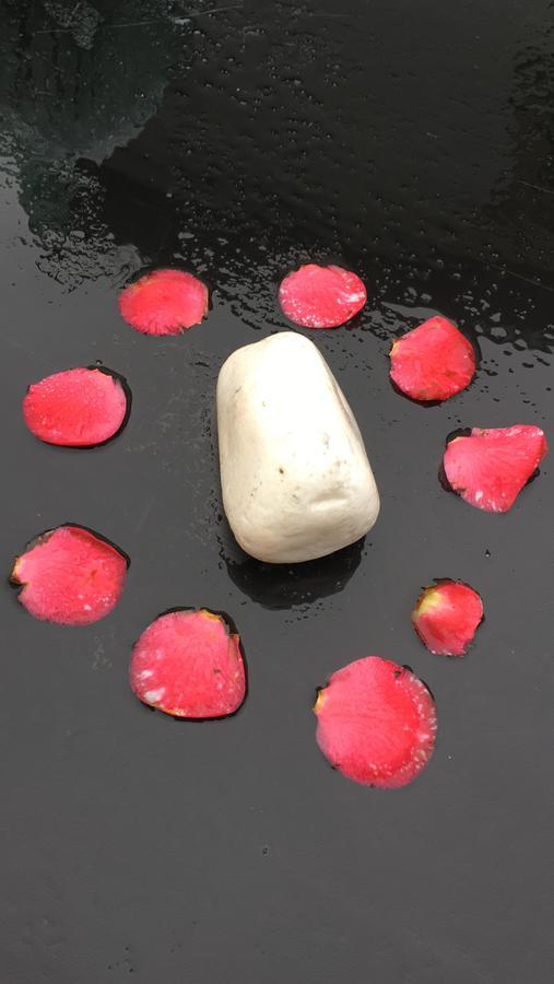Hotel Quinta La Encarnacion Casar de Cáceres Zewnętrze zdjęcie